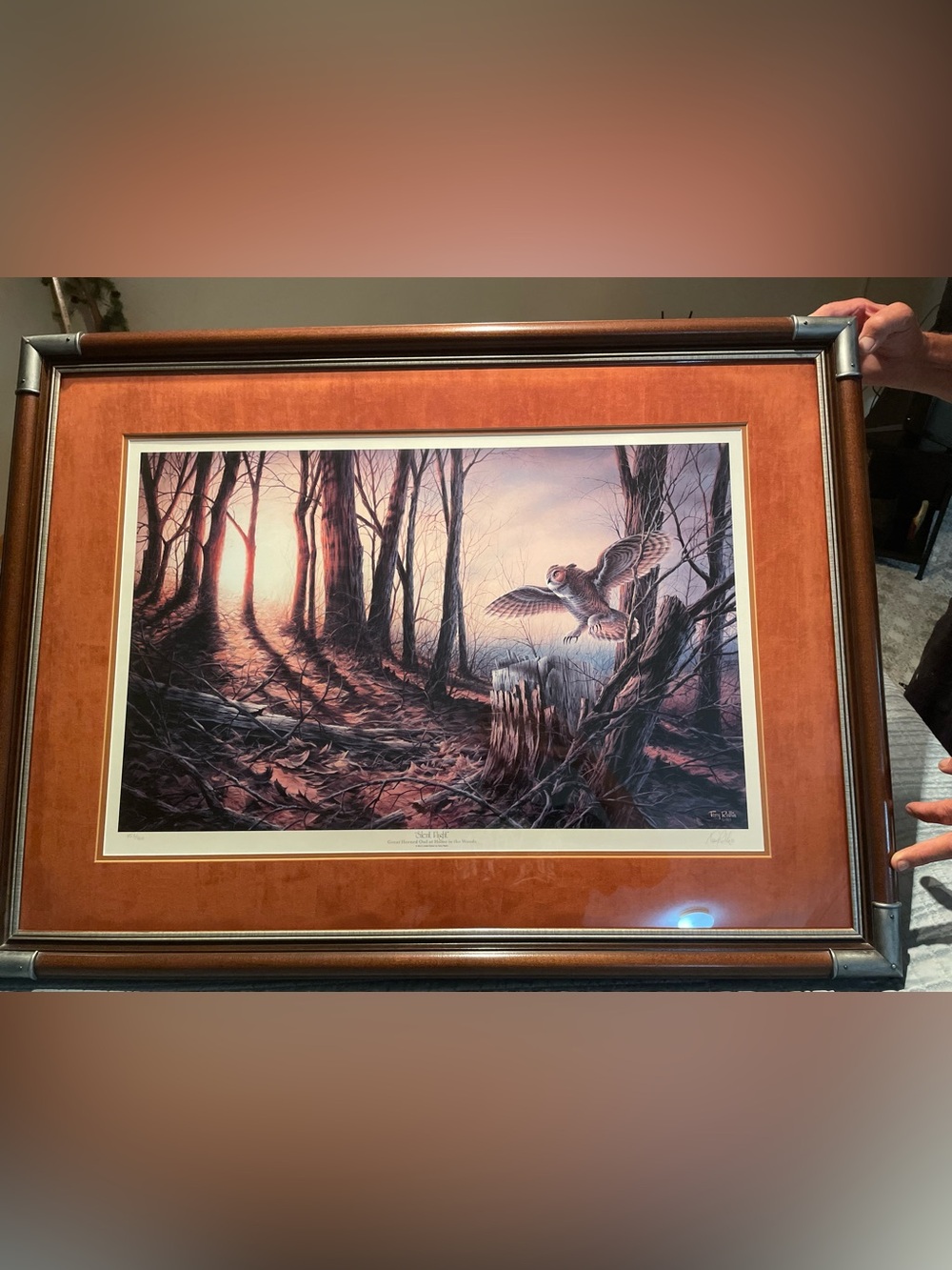Terry Redlin “Silent Flight” strict limited edition. Signed and appraised.